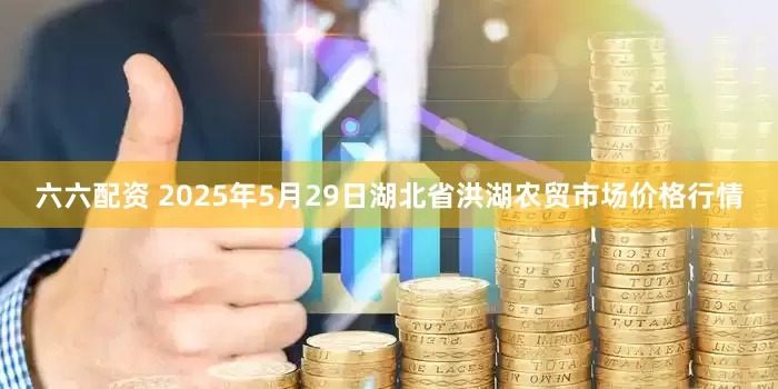 六六配资 2025年5月29日湖北省洪湖农贸市场价格行情