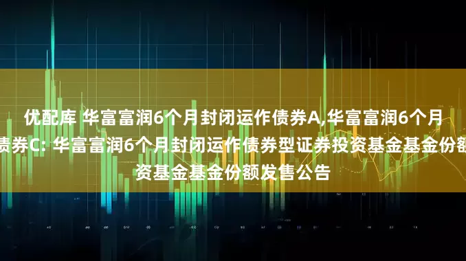 优配库 华富富润6个月封闭运作债券A,华富富润6个月封闭运作债券C: 华富富润6个月封闭运作债券型证券投资基金基金份额发售公告