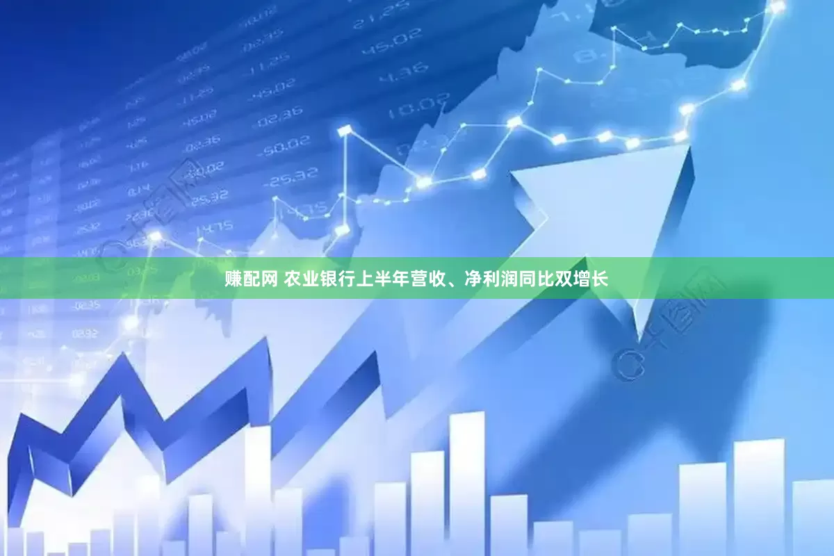 赚配网 农业银行上半年营收、净利润同比双增长